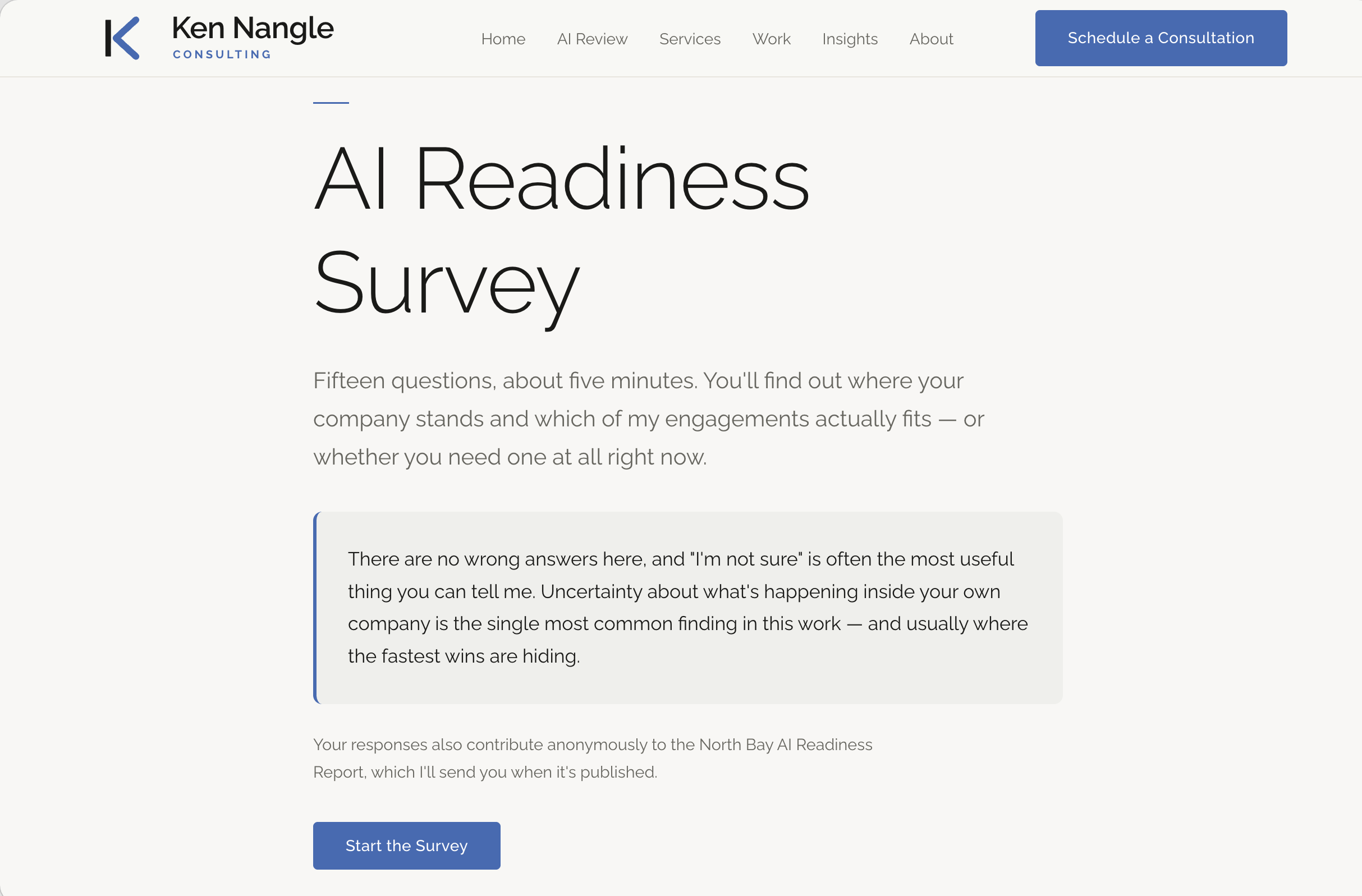 kennangle.com AI Readiness & Security Assessment